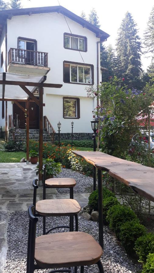 Villa Sveti Dimitar Borovets Dış mekan fotoğraf