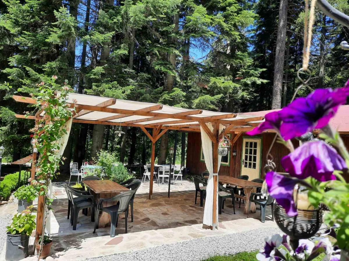 Villa Sveti Dimitar Borovets Dış mekan fotoğraf