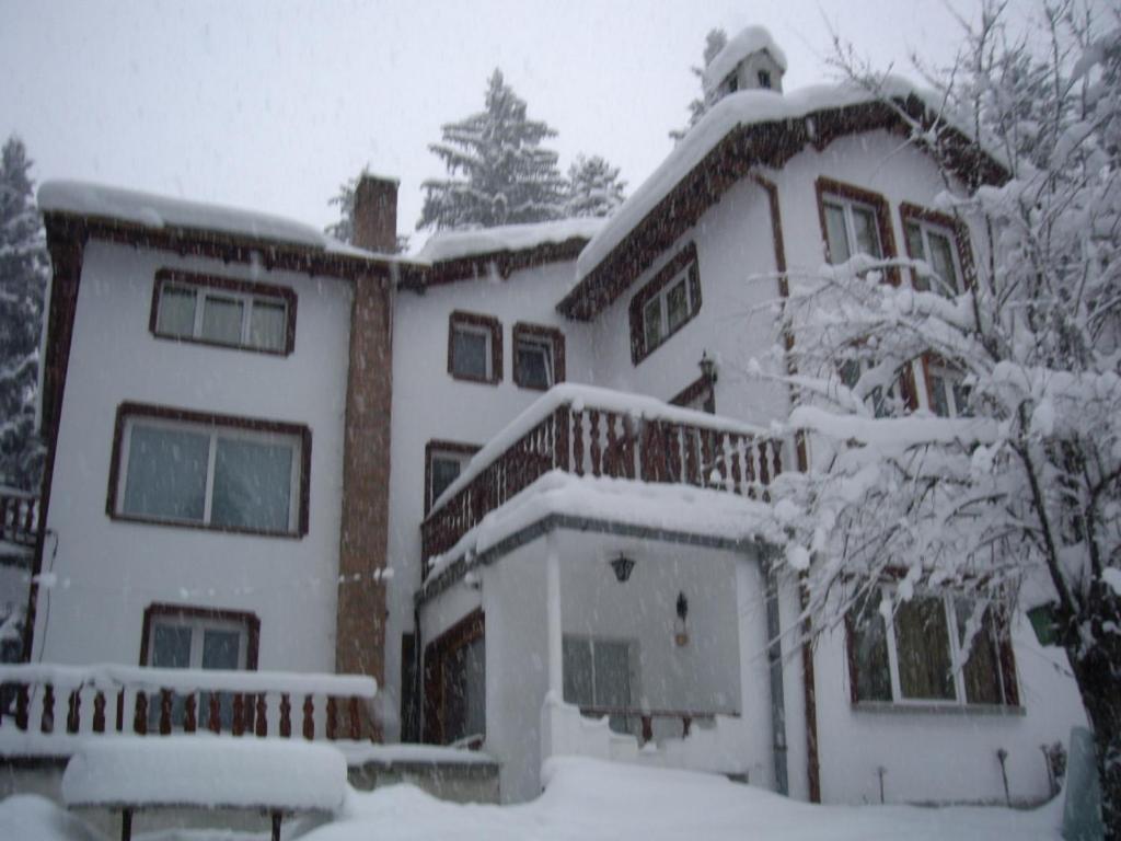 Villa Sveti Dimitar Borovets Dış mekan fotoğraf